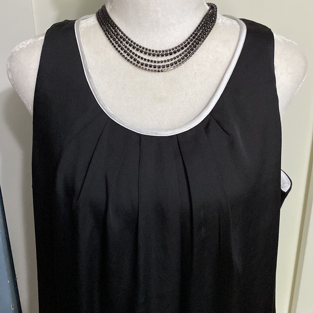 10/$10 Dana Buchman Black & White Lined Dress. EUC Size Large - Picture 3 of 10